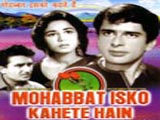 Mohabbat Isko Kahete Hain movie